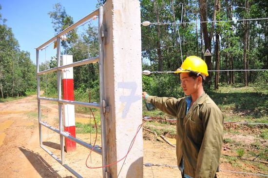 Có hàng rào điện nhưng voi rừng vẫn ra khu dân cư
