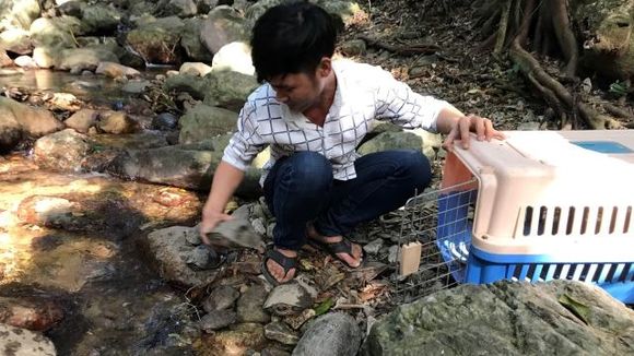 Thả 27 cá thể động vật về rừng ở Kon Tum