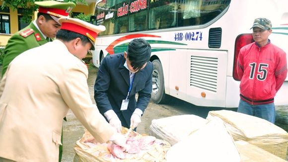 Xe khách chở hơn 500kg nội tạng động vật bốc mùi