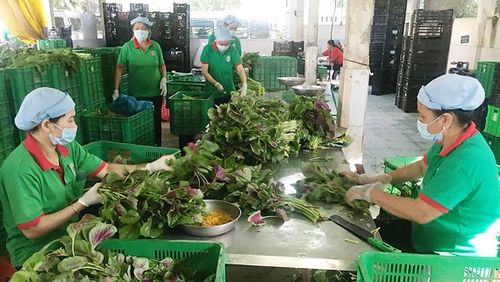 Hướng phát triển cho mô hình hợp tác xã