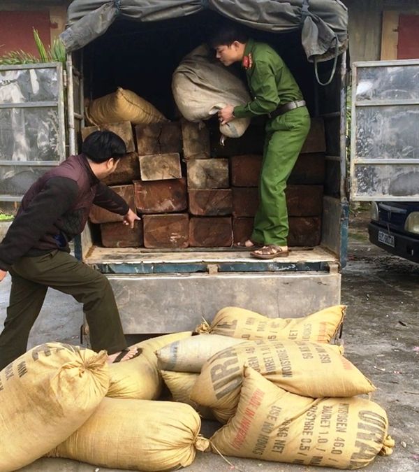Bắt xe tải chở 22 phách gỗ lậu được ngụy trang dưới bao trấu