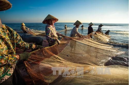 Những thách thức trong phát triển nghề đánh bắt hải sản