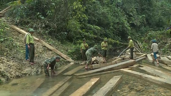 Quảng Bình: 3 cán bộ kiểm lâm bị khiển trách khi rừng mất gần 100m3 gỗ