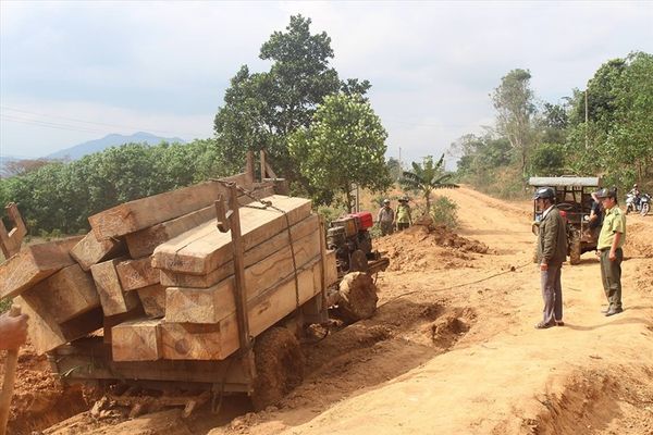 Rừng liên tiếp bị tàn sát ở Tây Nguyên: Chỉ xử lý “nhẹ nhàng” cán bộ