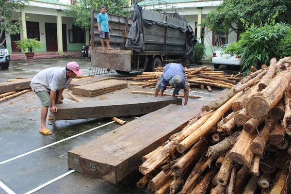Nóng chuyện phá rừng, vận chuyển gỗ lậu