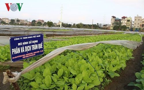 “Loạn” cửa hàng bán sản phẩm nông nghiệp hữu cơ