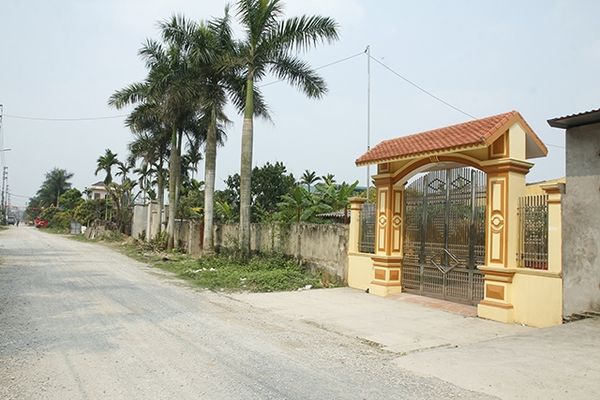 Xử lý nghiêm tình trạng xây dựng trái phép trên đất nông nghiệp