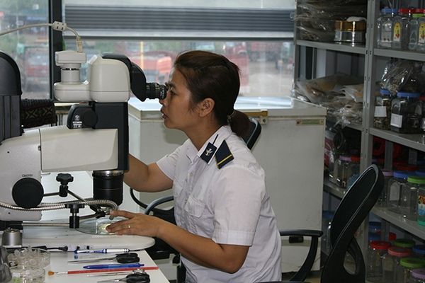 Khó khăn trong bảo đảm kiểm dịch thực vật tại các cửa khẩu