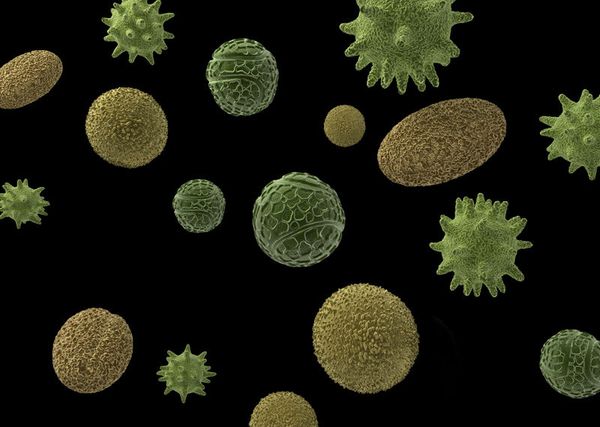 Học máy dò những virus khó nắm bắt
