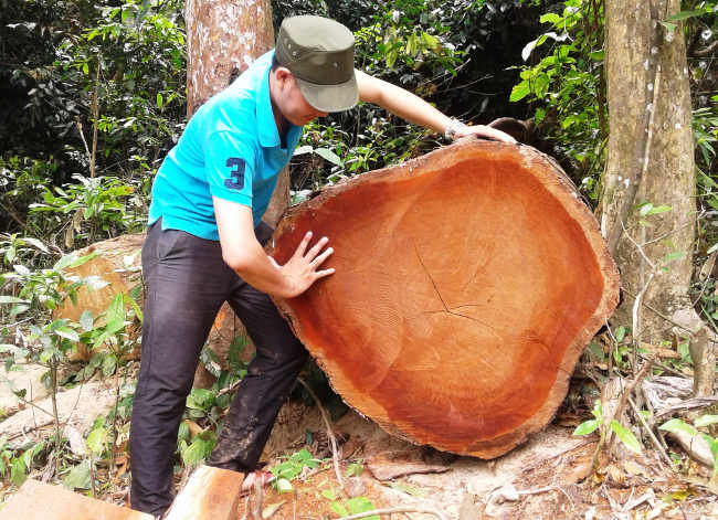 Tan nát khu bảo tồn thiên nhiên Sông Thanh