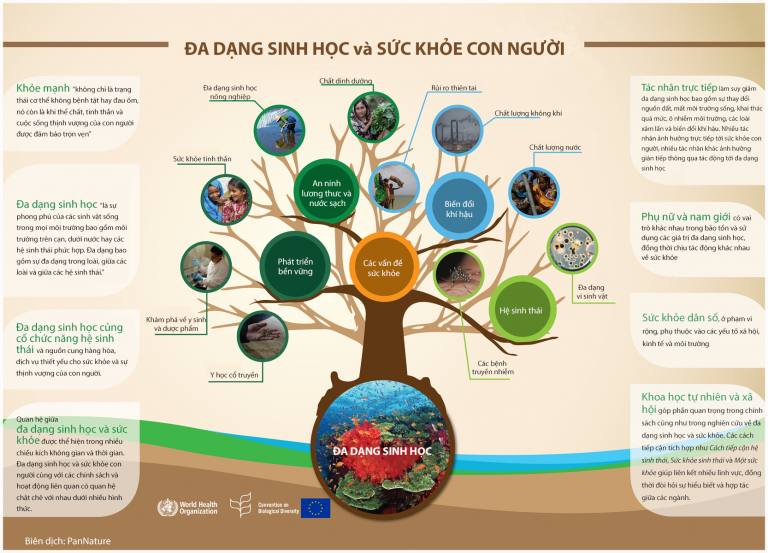 Đa dạng sinh học và sức khỏe con người