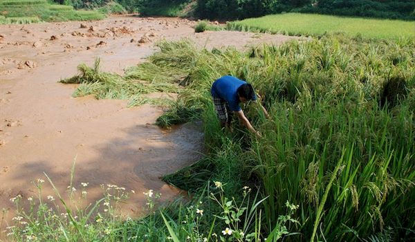 Đóng cửa nhà máy tuyển quặng gây ô nhiễm