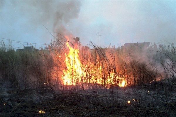 Cháy Khu bảo tồn loài, sinh cảnh Phú Mỹ