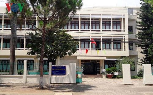 Gia Lai thanh tra việc mất 240 ha rừng trồng