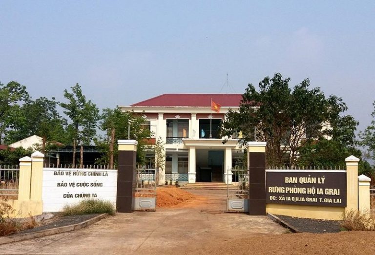 Vụ thanh tra 240 ha rừng bị mất: Kiểm điểm tập thể, cá nhân