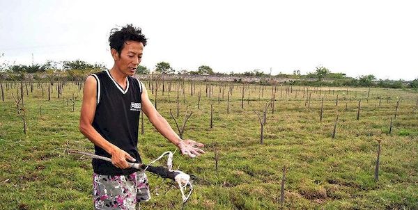 Hỗ trợ gạo cho các hộ dân cạnh bãi xỉ Vĩnh Tân