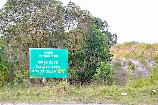 Kiên Giang: Thành lập đoàn kiểm tra, xử lý nạn chặt phá và lấn chiếm đất rừng Phú Quốc