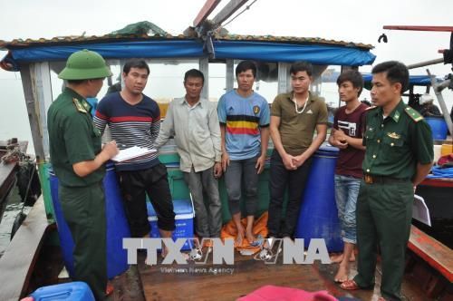 Quảng Ninh bắt giữ 5 tàu khai thác thủy sản trái phép