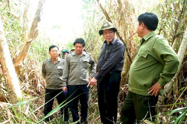 24.000ha rừng U Minh Hạ đang dự báo cháy cực kỳ nguy hiểm