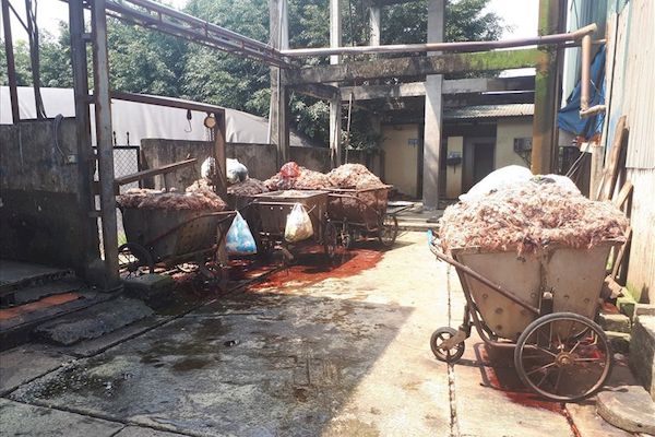 Công bố kết quả thanh tra lò mổ gây ô nhiễm ở Thanh Trì