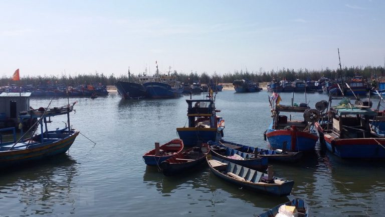 Cảng cá bị bồi lấp, hàng loạt tàu thuyền phải nằm bờ