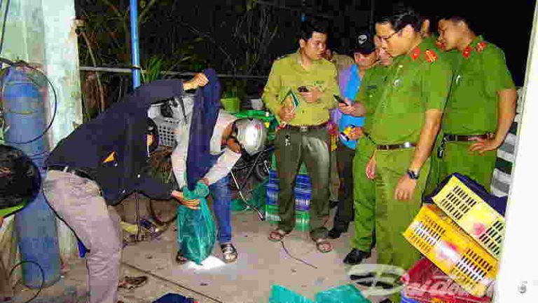 Khởi tố một phụ nữ buôn bán, vận chuyển động vật hoang dã trái phép