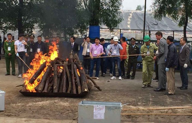 Nỗ lực chống buôn bán động thực vật hoang dã
