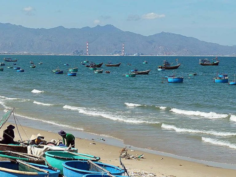 Bộ Nông nghiệp bác việc nhận chìm gần Hòn Cau