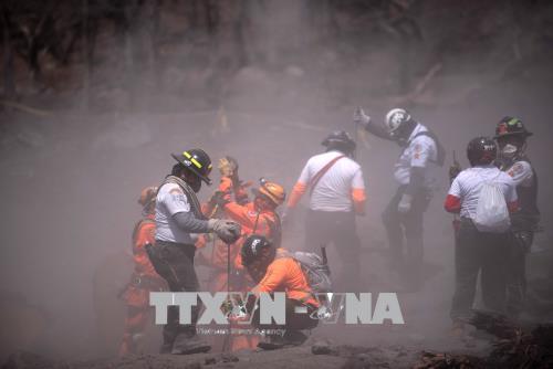 Núi lửa phun trào ở Guatemala: Tạm dừng công tác cứu hộ