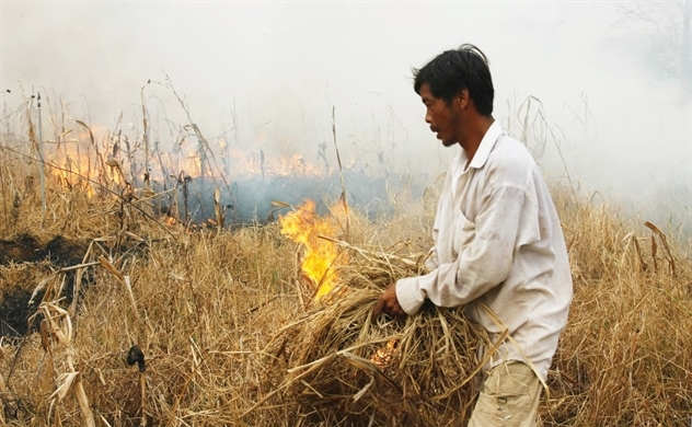 Màu xám của nông nghiệp