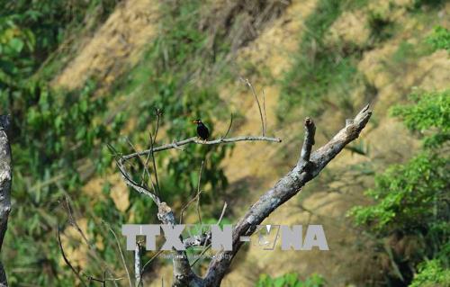 Sử dụng hệ thống các khu bảo tồn như là biện pháp thích ứng biến đổi khí hậu ở Việt Nam