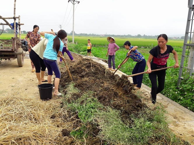 Đừng lãng phí phân hữu cơ