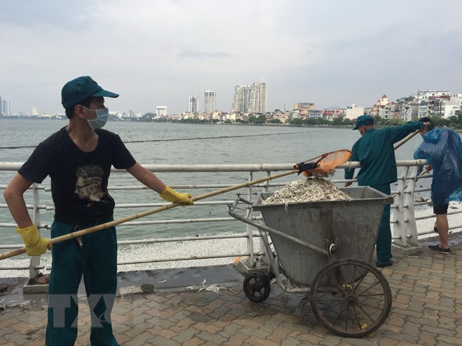 Lấy mẫu nước để xác định nguyên nhân cá chết nổi tại hồ Tây