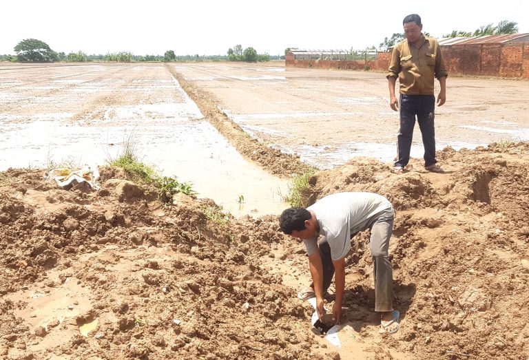 Khai thác đất mặt ruộng vẫn tiếp diễn ở Sóc Trăng
