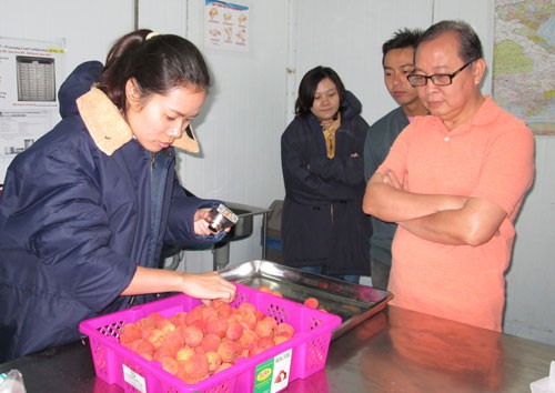 Áp lực từ cuộc chiến thương mại Mỹ – Trung: Nông sản Việt sẽ ra sao?