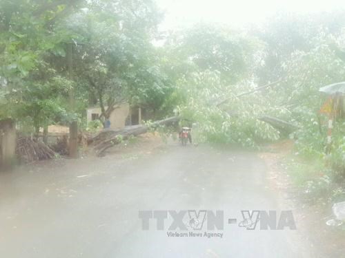 Bắc Bộ mưa lớn diện rộng, Tây Nguyên và Nam Bộ đề phòng dông lốc