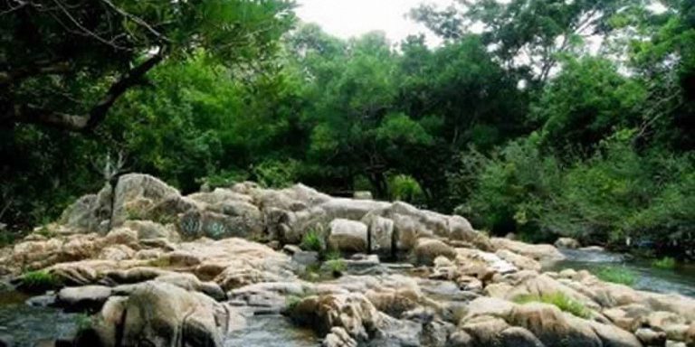 Bảo tồn đa dạng sinh học gắn với phát triển du lịch