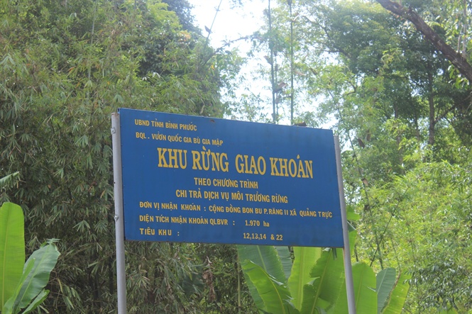 Chi trả dịch vụ môi trường rừng để bảo vệ rừng