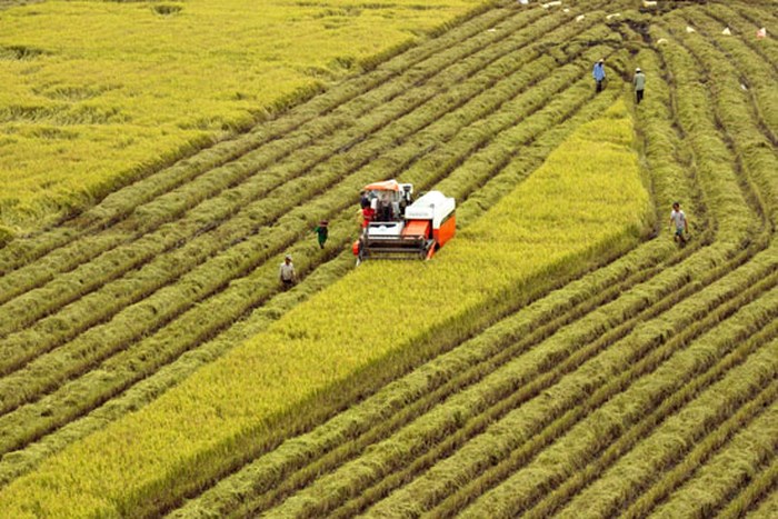 Bộ trưởng Nguyễn Xuân Cường lo ngại 3 thách thức khiến nông nghiệp Việt Nam khó bứt phá