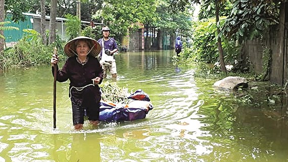 Hàng ngàn người vật lộn với lũ