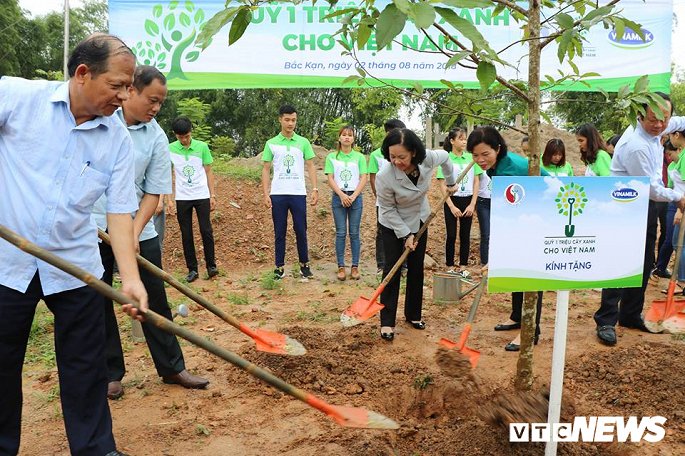 Trồng mới 100 nghìn cây xanh tại Bắc Kạn