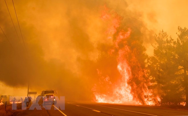Mỹ tuyên bố cháy rừng tại California là “thảm họa nghiêm trọng”