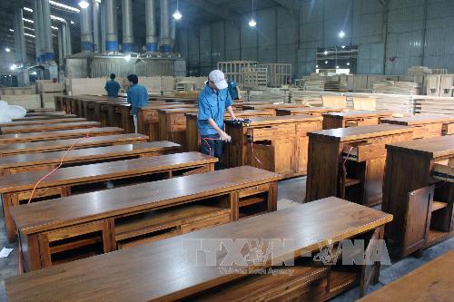 Hướng đến xây dựng nguồn nguyên liệu gỗ bền vững
