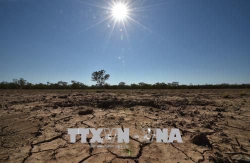 Nông dân Australia chống chọi với hạn hán nghiêm trọng