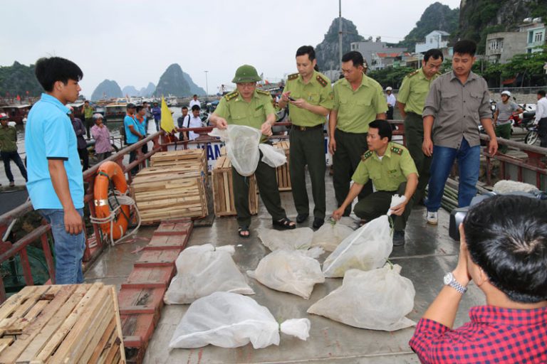 Nuôi dưỡng, bảo tồn động vật hoang dã: Khó trăm bề…
