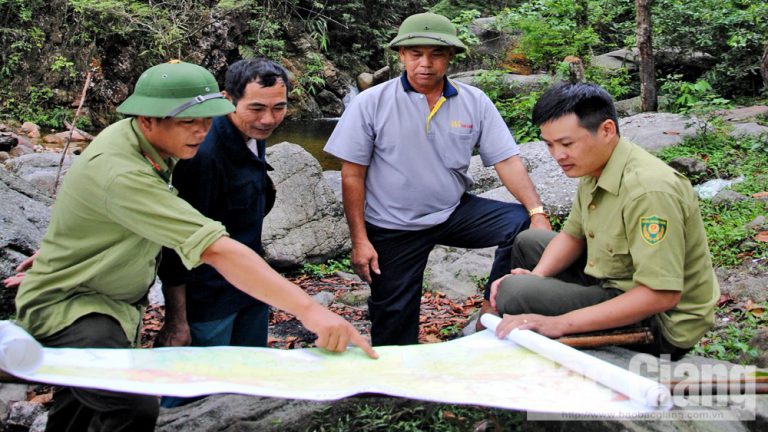 Bắc Giang xử lý nghiêm tình trạng phá rừng, lấn chiếm trái phép