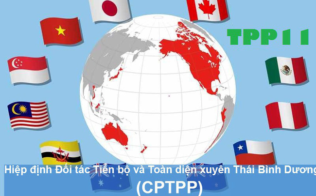 Việt Nam sắp trình phê duyệt Hiệp định CPTPP