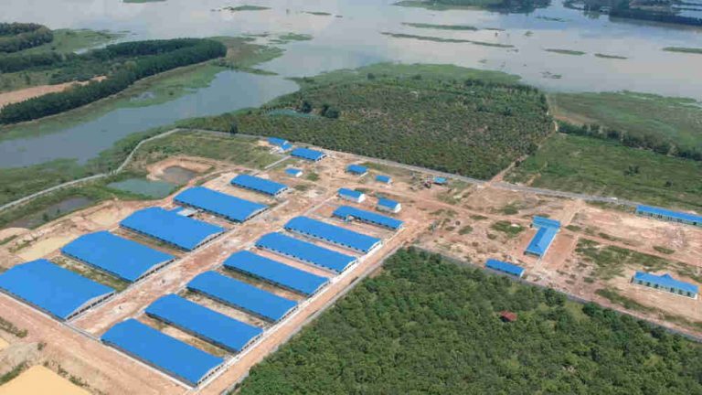 Sẽ tháo dỡ trại heo khổng lồ đầu nguồn cấp nước cho 10 triệu dân
