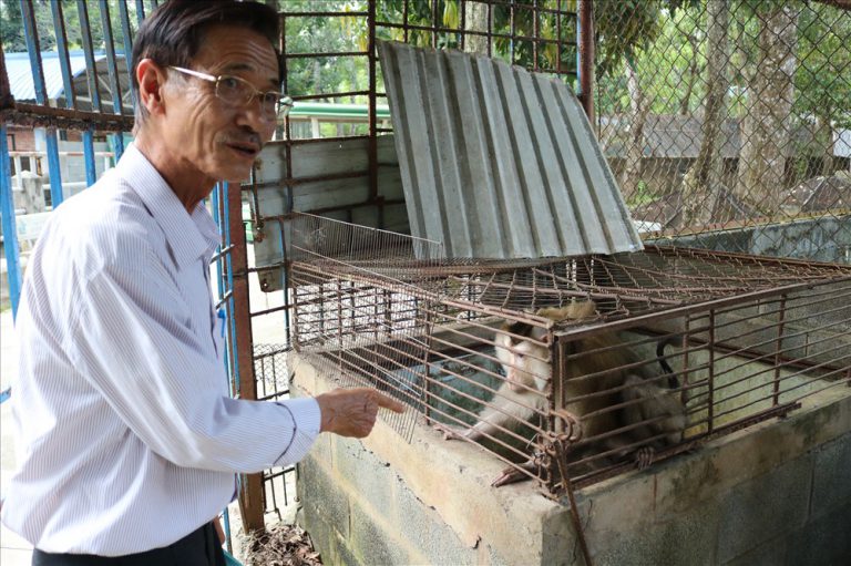 Công viên nước Củ Chi TPHCM bị “tố” ngược đãi động vật: Lãnh đạo Công viên phản hồi