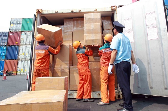 Phát hiện hàng loạt vụ “trộn” ngà voi, vảy tê tê trong hàng nhập khẩu